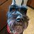 Traci Dyck's profile image