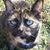 Jill Sherrod's profile image