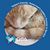 Diana Thompson's profile image