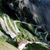 Ian Erridge's profile image