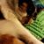 Patti Redasky's profile image