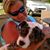 Karen Purser Eich's profile image