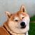 Jessica Ogihara's profile image