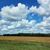 Renee Anne Mason-Taylor's profile image