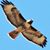 Roy VanDenburgh's profile image