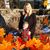 Tammy Nelson's profile image