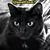 Kathleen Kope's profile image