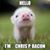 Chris P Bacon's profile image