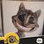 Christopher Paul Heldt's profile image