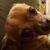Kimberly Lyons's profile image
