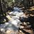 Barb Johnston Carrigan's profile image