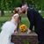 Chris McMahan's profile image