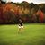 Dana Wetzel's profile image