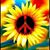 Glenda Judkins's profile image