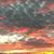 Judy Trevey Hodel's profile image