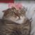 Christine Thessen's profile image