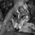 Lizel Taljaard Wessels's profile image