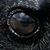 James Raven Ogburn's profile image