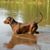 Bronwyn Perkins Bartholomew's profile image
