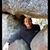 Kevin Mabry's profile image