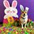 Paula Rodriguez's profile image