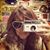 Lisa Bachman's profile image