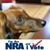 Gary Herzig's profile image