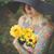 Rach Livingston's profile image