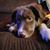 Bonnie Loveless's profile image