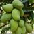 Mayra Montes's profile image