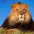 Lidio Tepoz's profile image