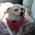 Micki Suttle's profile image