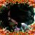 Sandra Carrollmontoya's profile image