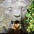 Theresa Duralia's profile image