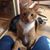 Beverly Choate Villa's profile image