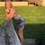 Amanda Edwards's profile image