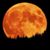 Paul King's profile image