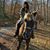 Kathy Coomer Fegurgur's profile image