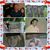 Lisa Thomas-Gongaware's profile image