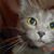 Rebecca Williams's profile image
