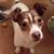 Gail Delcimento's profile image