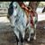 Blanca Mejia's profile image