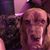 Malyssa Divico's profile image