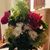 Anna Lee Ingalls's profile image