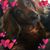 Mark Bashaw's profile image