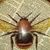 Samantha Deanna Johnson's profile image