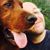 Aaron Beaudoin's profile image