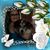 Kara Burr Orosz's profile image