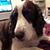 Pamela Andrus Phillips's profile image