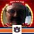 Tim Smith's profile image